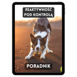 Reaktywność pod Kontrolą