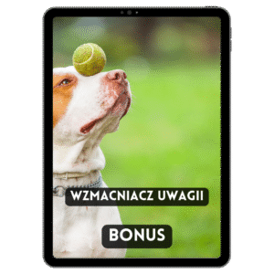 Wzmacniacz Uwagi