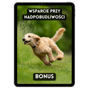 Wsparcie przy Nadpobudliwości
