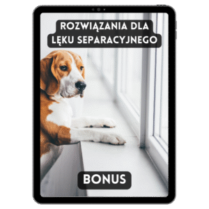 Rozwiązania dla Lęku Separacyjnego