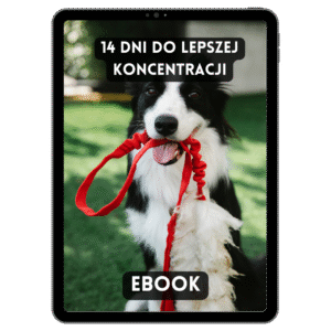 14 Dni do Lepszej Koncentracji