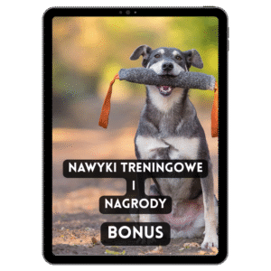 Nawyki Treningowe i Nagrody