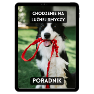 Chodzenie na luźnej smyczy