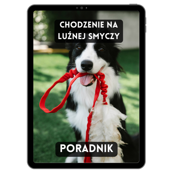 Chodzenie na luźnej smyczy + Bezpłatne Bonusy