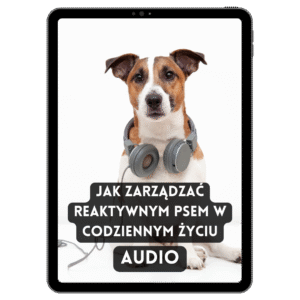 Jak zarządzać reaktywnym psem w codziennym życiu(audiobook)