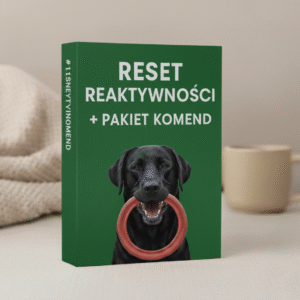 Reset Reaktywności + Pakiet Komend BLACK WEEK PROMO -75%