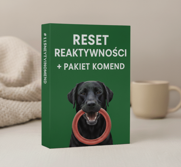 Reset Reaktywności + Pakiet Komend BLACK WEEK PROMO -75%